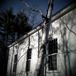 Talking on the phone